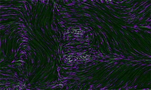 手機上如何去水印視頻 去水印呢