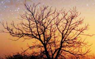 java程序員工資多少b(程序員工資多少)