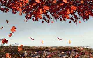 java程序員工資多少b(程序員工資多少)