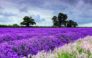 java程序員工資多少b(程序員工資多少)