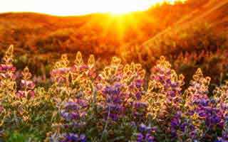 java程序員工資多少b(程序員工資多少)